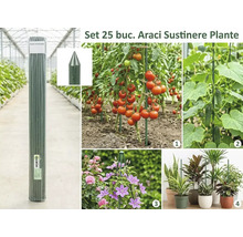 Set de 25 araci metalici pentru susținerea tomatelor, castraveților și plantelor de apartament în grădină și casă.