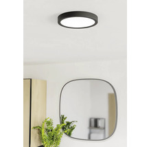 Plafonieră LED rotundă modernă, de culoare neagră, într-o cameră luminoasă, deasupra unei oglinzi și a unei plante.