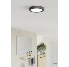 Plafonieră LED rotundă cu cadru închis la culoare într-o baie modernă și luminoasă, cu oglindă, plantă verde și dulap din lemn.