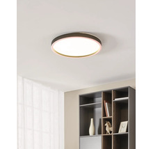 Plafonieră LED rotundă modernă cu lumină albă caldă și margine colorată pe un tavan într-o cameră luminoasă, organizată cu un raft.