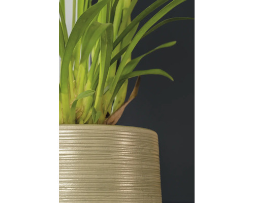 Mască ghiveci Passion for Pottery Sierra ceramică Ø 20 cm H 19 cm auriu