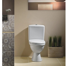Toaletă de podea cu rezervor într-o baie modernă cu plăci ceramice cu model și decor cu plante