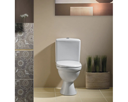 Toaletă de podea cu rezervor într-o baie modernă cu plăci ceramice cu model și decor cu plante