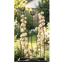 Spalier metalic negru curbat pentru plante cățărătoare, cu decorațiuni florale în vârf, cu trandafiri cățărători într-o jardinieră în grădină.