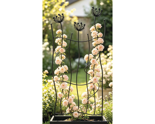 Spalier metalic negru curbat pentru plante cățărătoare, cu decorațiuni florale în vârf, cu trandafiri cățărători într-o jardinieră în grădină.