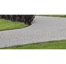 Alee de grădină pavată cu pavele dreptunghiulare din beton, cu gazon adiacent și vegetație.
