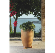 Ghiveci mare de teracotă cu o plantă suculentă pe o terasă cu vedere la mare