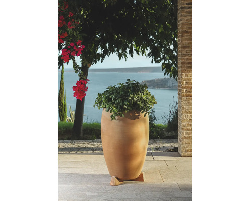 Ghiveci mare de teracotă cu o plantă suculentă pe o terasă cu vedere la mare