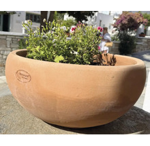 Vas de plantare rotund din teracotă cu logo Terraneo realizat manual, plantat cu flori, potrivit pentru grădină și terasă.