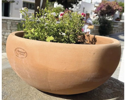 Vas de plantare rotund din teracotă cu logo Terraneo realizat manual, plantat cu flori, potrivit pentru grădină și terasă.