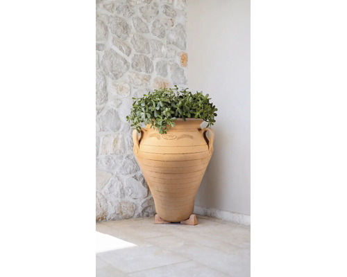 Ghiveci mare din teracotă în formă de amforă cu plantă verde pe o terasă de piatră.