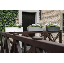 Trei jardiniere dreptunghiulare cu flori albe pe un gard de lemn în fața unei clădiri din cărămidă cu ușă de intrare.