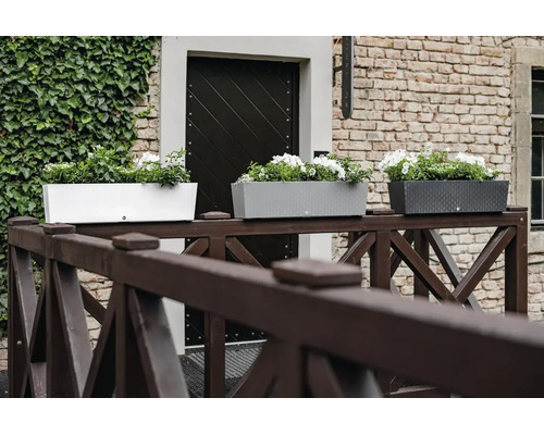 Trei jardiniere dreptunghiulare cu flori albe pe un gard de lemn în fața unei clădiri din cărămidă cu ușă de intrare.