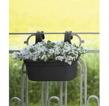 Jardiniera de balcon pentru agățat pe balustradă cu flori albe plantate.
