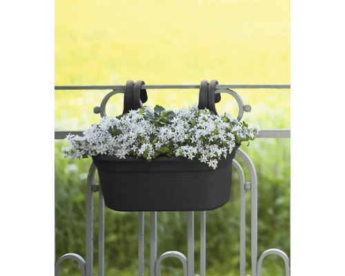 Jardiniera de balcon pentru agățat pe balustradă cu flori albe plantate.