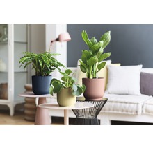 Mască pentru ghiveci Vibes Ø 14 cm H 12,9 cm galben