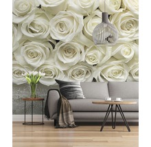 Fototapet hârtie 8-314 A la Rose 368x254 cm