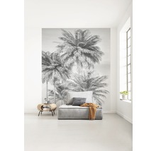 Fototapet vlies X4-1019 Cocco 200x250 cm