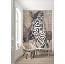 Fototapet vlies X4-1010 Zebra 200x250 cm