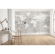 Fototapet vlies X7-1007 World Relief 350x250 cm