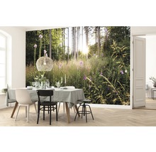Fototapet vlies X7-1005 Summer Glade 350x250 cm