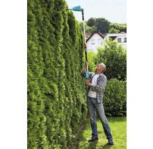 Un bărbat taie un gard viu înalt cu o foarfecă de gard viu cu acumulator cu tijă telescopică