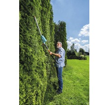 Bărbat tunde gard viu cu o foarfecă de gard viu