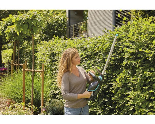 Femeie tăind un gard viu cu o foarfecă de tăiat gardul viu în grădină