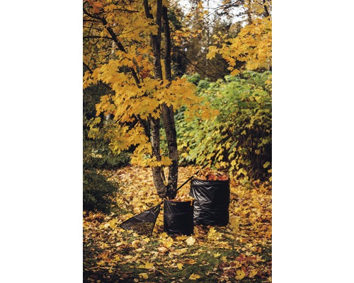 Scenă de toamnă cu suflantă de frunze, saci de frunze și frunze căzute