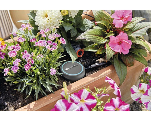 Jardinieră cu sistem de irigare și diverse plante cu flori