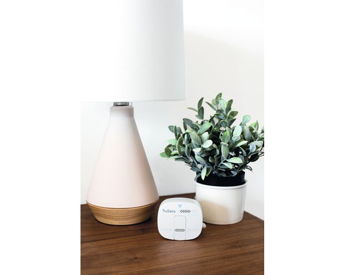 Senzor Trusens pe o noptieră lângă o lampă și o plantă de apartament