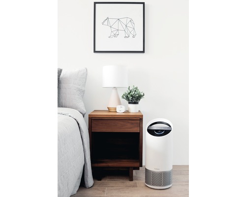 Dormitor cu purificator de aer, noptieră, lampă și decorațiune de perete cu motiv urs