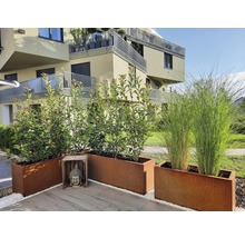 Jardiniere decorative din metal pe o terasă în fața unei clădiri rezidențiale.