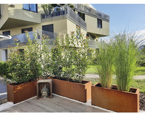 Jardiniere decorative din metal pe o terasă în fața unei clădiri rezidențiale.