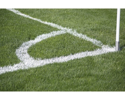 Colț de teren de fotbal cu steag de colț și marcaj