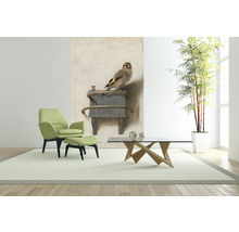 Fototapet vlies Special Decoration Goldfinch 194x280 cm