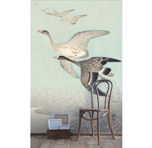 Fototapet vlies Special Decoration Gâște zburătoare 194x280 cm