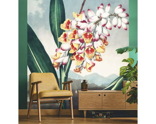 Living decorativ cu tapet floral, fotoliu și comodă