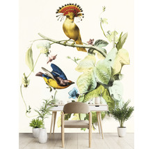 Fototapet vlies Special Decoration Pasăre 243x280 cm
