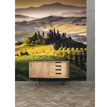Fototapet vlies Special Decoration Toscana 2 243x280 cm