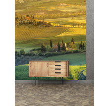 Fototapet vlies Special Decoration Toscana 5 243x280 cm