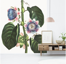 Fototapet vlies Special Decoration Passiflora 243x280 cm
