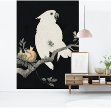 Fototapet vlies Special Decoration Cockatoo 194x280 cm
