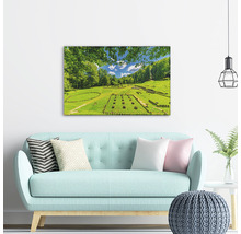 Pânză decorativă cu motivul unui sit arheologic în verdeață deasupra unei canapele