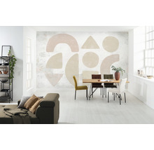 Fototapet vlies INX8-066 Impasto 400x280 cm