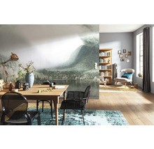 Cameră de zi cu fototapet cu peisaj montan, masă din lemn, scaune și bibliotecă