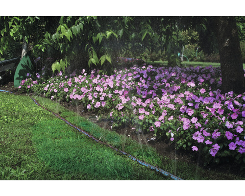 Sistem de irigare în grădină cu pat de flori și gazon