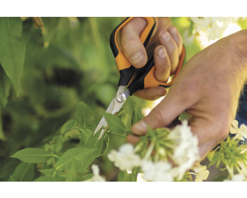 Foarfece de grădină la tăierea plantelor