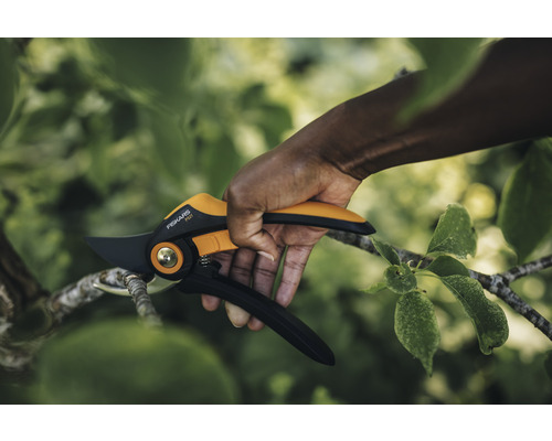 Foarfece de grădină taie o ramură