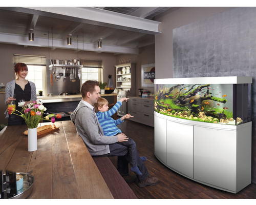 Familie se uită la acvariul cu pești și plante acvatice într-o sufragerie luminoasă.